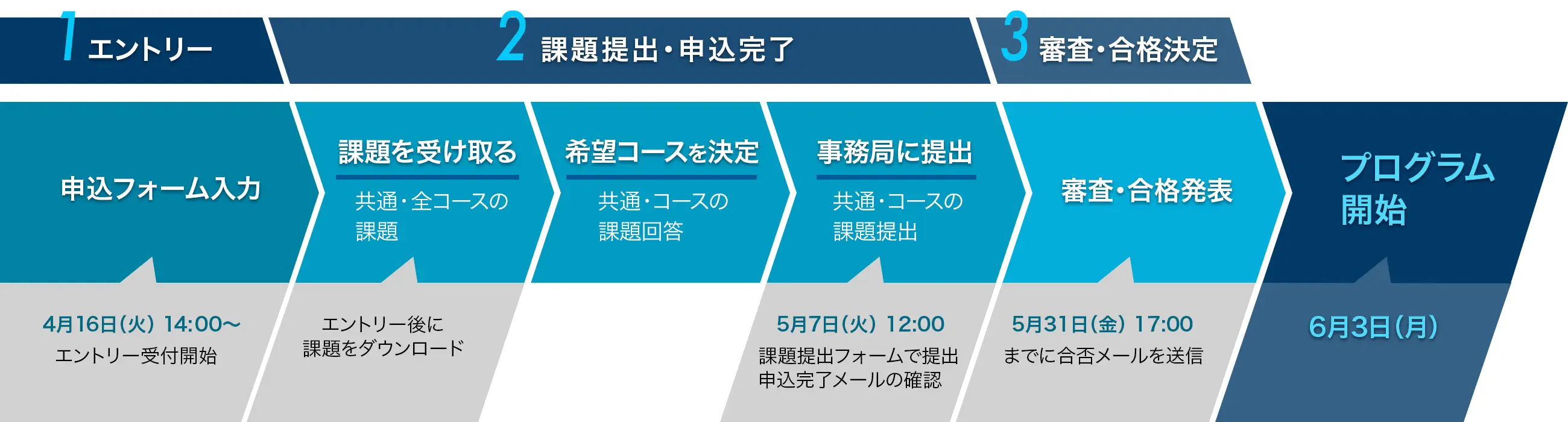 エントリーからプログラム開始までのフロー図